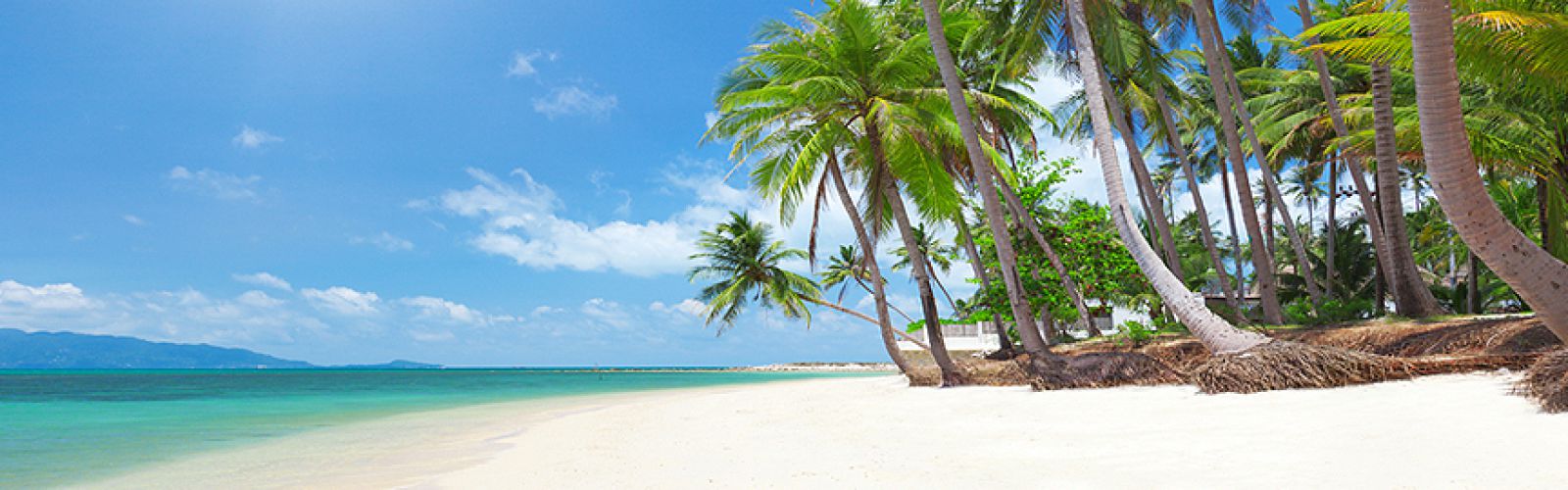 Vietnam  Package Tours
