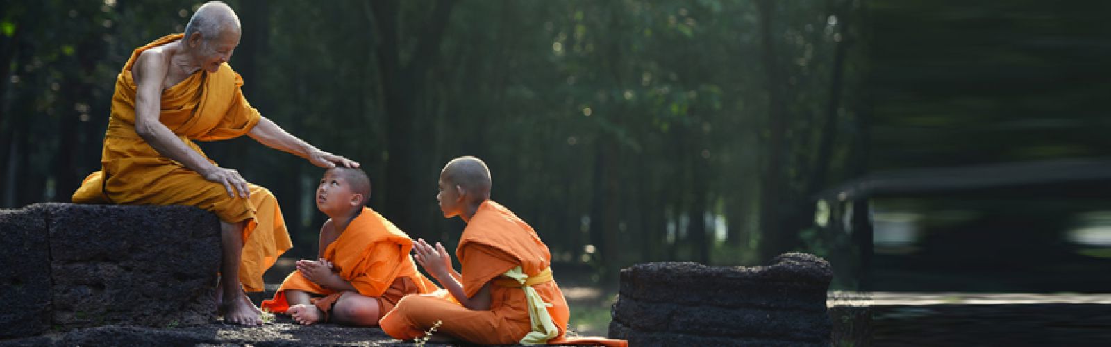 Vietnam  Day Tours