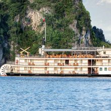 Day Cruises
