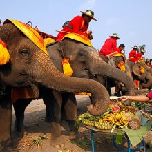 Adventure Tours