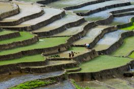 Focus Vietnam 10D/9N  