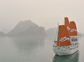 Paradise Luxury Cruise