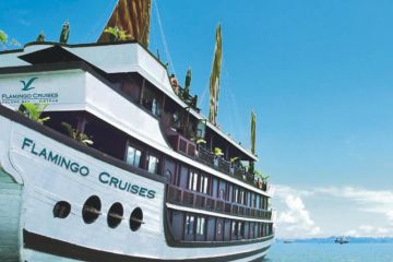 Flamingo Cruise _Vietiso Demo
