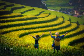 Sapa  Tour - Vietiso Update Data
