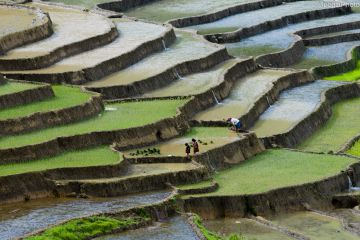 Focus Vietnam 10D/9N  