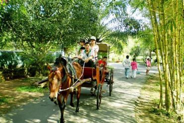 Ho Chi Minh - My Tho - Hoian - My Son - Hue - Hanoi 