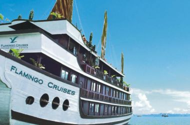 Flamingo Cruise _Vietiso Demo