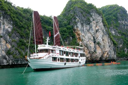 Best Cruises