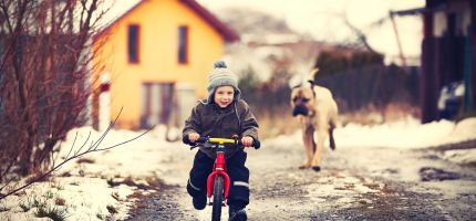 biking-tour