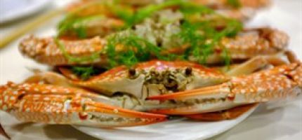 Great food