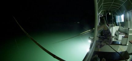 Fishing
