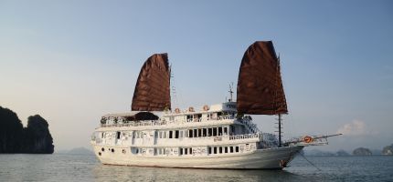 Cruise experior