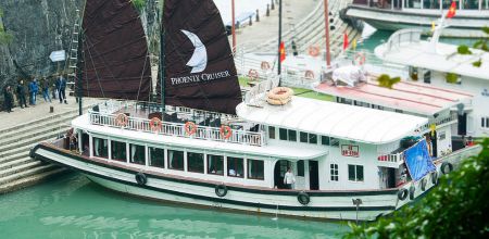 Best Cruises