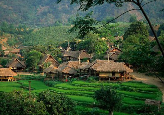 Mai Chau