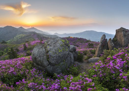 Ban Gioc Water Falls