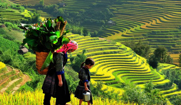 dcSapa