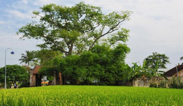 Duong Lam Ancient Village And Van Phuc Silk Village