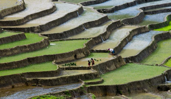 Focus Vietnam 10D/9N  