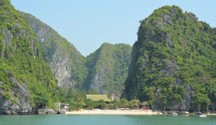 Freedom island